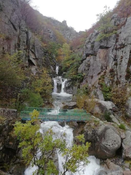 Gite De Noe Au Ray-Pic Pereyres Zewnętrze zdjęcie