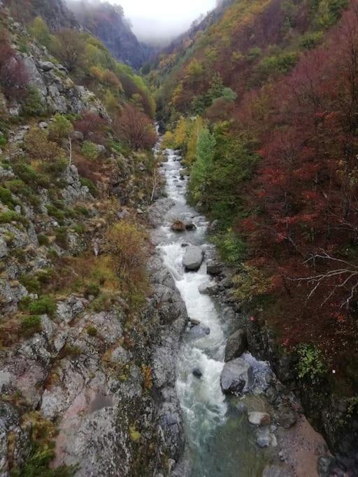 Gite De Noe Au Ray-Pic Pereyres Zewnętrze zdjęcie