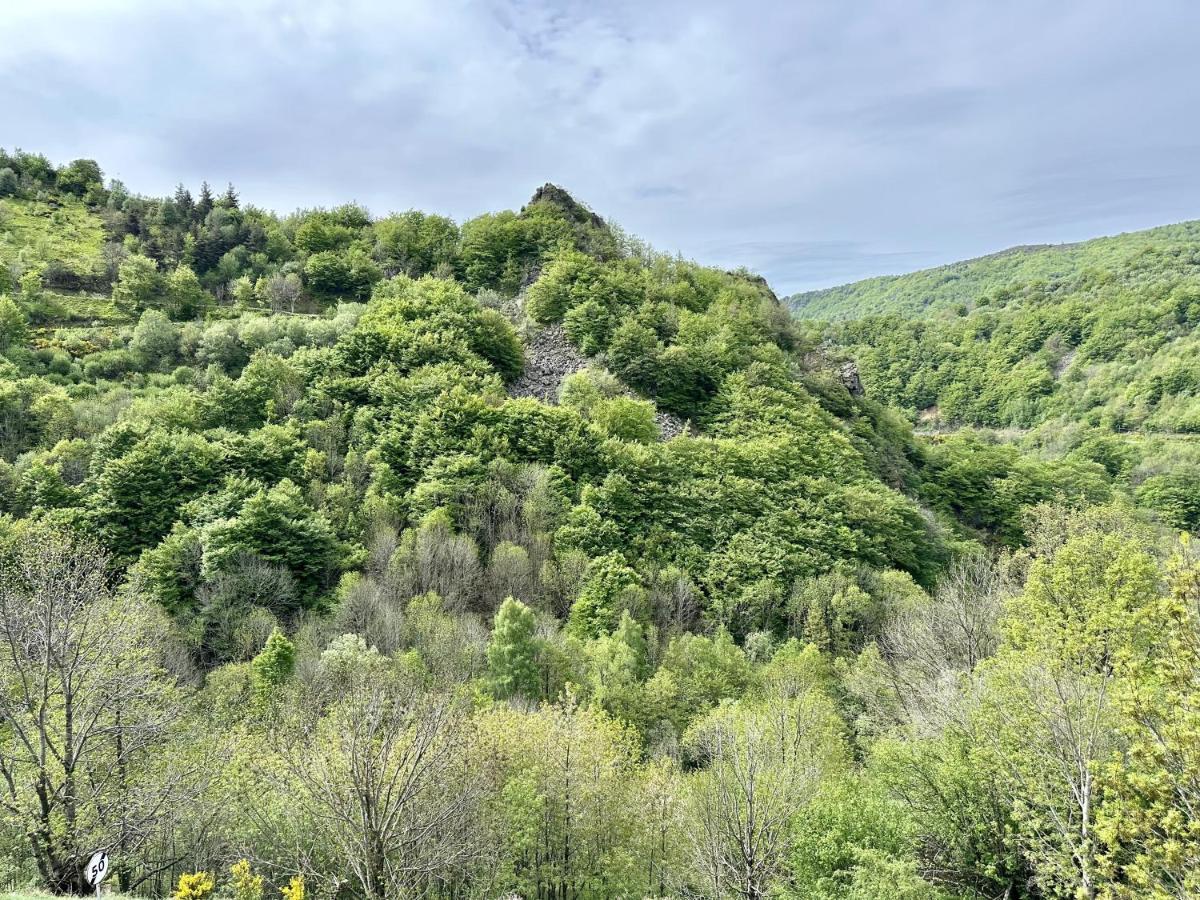 Gite De Noe Au Ray-Pic Pereyres Zewnętrze zdjęcie