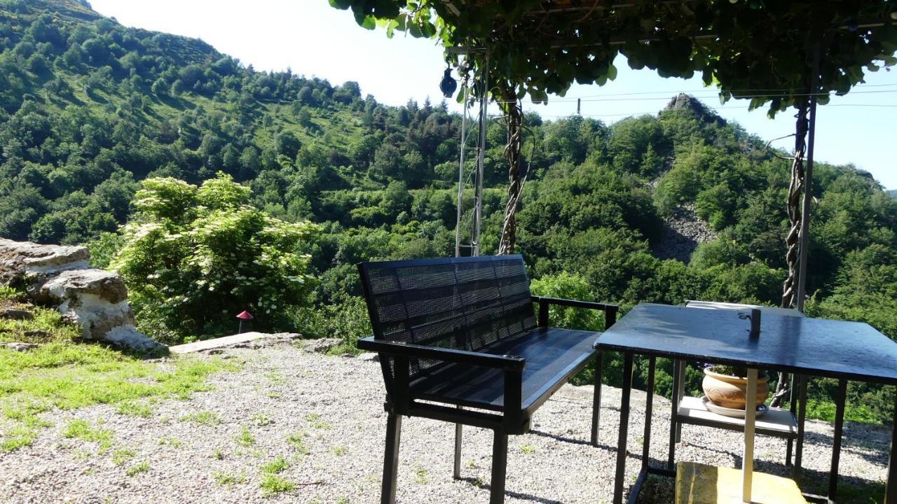 Gite De Noe Au Ray-Pic Pereyres Zewnętrze zdjęcie